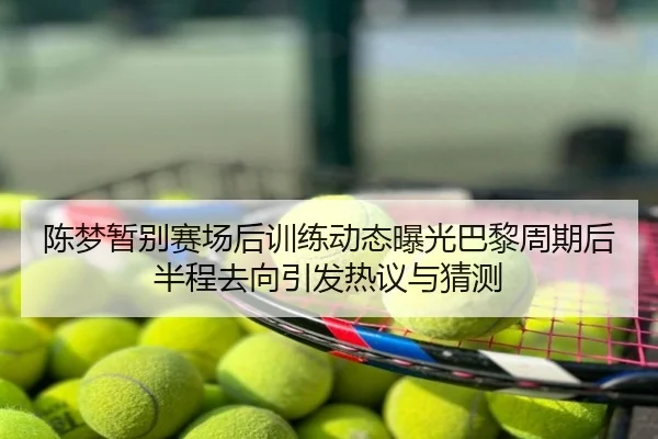 陈梦暂别赛场后训练动态曝光巴黎周期后半程去向引发热议与猜测