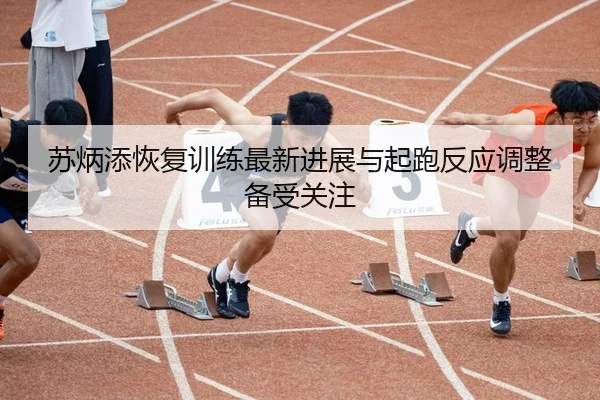 苏炳添恢复训练最新进展与起跑反应调整备受关注